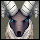 Pet - God Condor