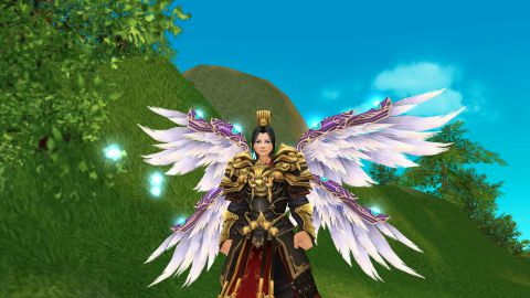 ปีก - ภาพจากในเกม